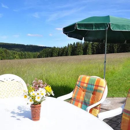 Ferienhaus Vessertal 