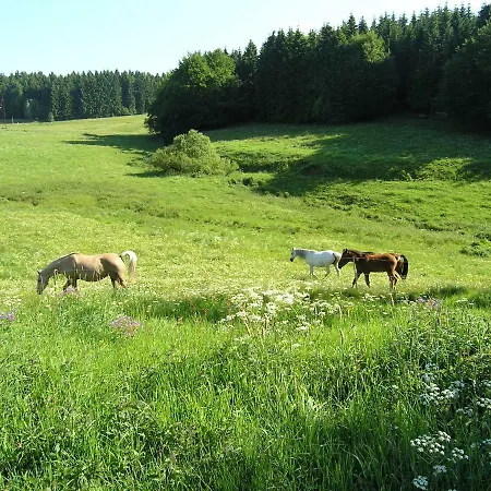 Ferienhaus Vessertal 